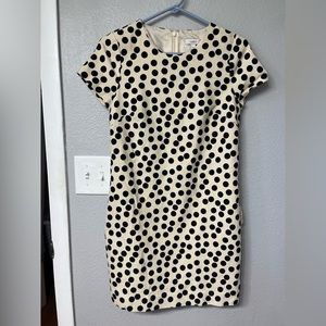 J Crew dress with pockets